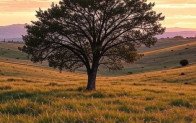 ÜVEY BABAM ÖLMEDEN ÖNCE BANA BİR ADRES VERDİ