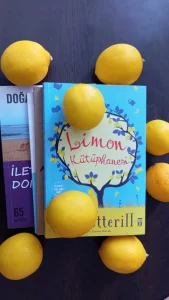 limon kütüphanesi özet